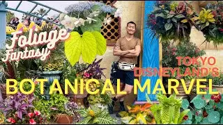 Splendid and Whimsical GARDEN | LANDSCAPE of Tokyo Disneyland & Disney Sea! Learn Plant Names Here!