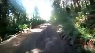 Alberni Log Train Trail (Part 3)