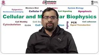 M-11. Functional Near infrared Spectroscopy (FNIRS)