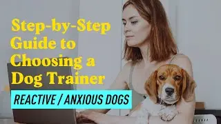 How to Choose the Right Trainer for Your Reactive or Anxious Dog