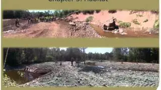 12 LSC MN management plan Goldsworthy