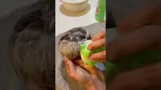 Tag 2 der Reinigung einer Kokosnuss #cleaning #coconut #glass
