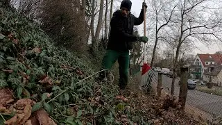 Cleaning up beautiful forest path in freezing temperature - PART 2