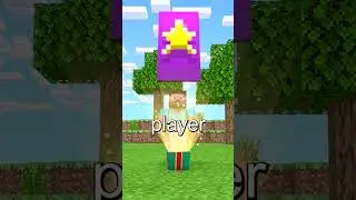 The Rarest Thing In Minecraft