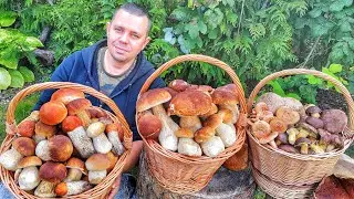 Hr&iacute;by Huby Houby | 29.9.2022 | Rozpr&aacute;vkov&eacute; dub&aacute;ky koz&aacute;ky | MIX h&uacute;b | Houbařina | nahuby | Macek
