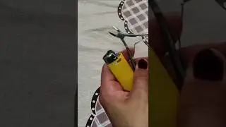Amolando alicate de unhas!