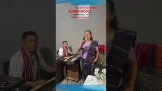 Bunga ncole | cover lagu karo