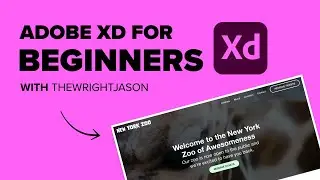 Adobe XD for Beginners