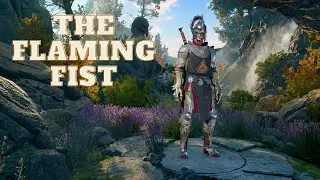 The Flaming fist build guide (fighter) Baldur's Gate 3