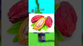 GROW A GARDEN FRUITS IN REAL LIFE 🟥