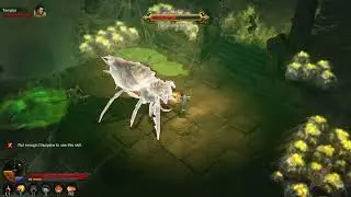 Diablo 3 Queen Araneae Boss Fight