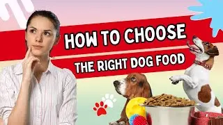 ПРАВДА о выборе правильного корма для собак 🐶🍽️