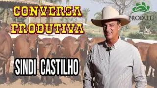Conversa Produtiva - Sindi Castilho