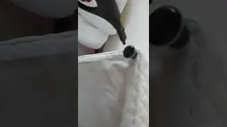 Bed Bug Steaming Treatment and Control Kills Bed Bugs and Eggs
