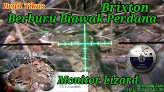 Berburu 30 : Brixton...Berburu Biawak Perdana (Spot On vs Atibal)