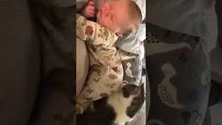 Little human fart smells like death #babyfart #babyandcat #babyandcats #cutebaby #shorts