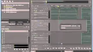 Adobe Audition Exporting