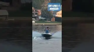 Ruby 🐕🐾on the #seadoo #jetski #gtx #dogshorts