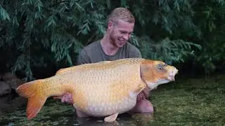 Team Underfishing op Le Grand Etang: de meest BRUTE onderwaterbeelden van karpers ooit gezien!