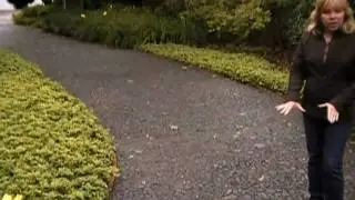 April 20/11 Senga's Vlog - visiting a Chinese Garden in New Zealand