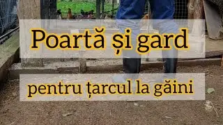 Cum am facut poartă și gard pentru țarcul la găini - 2022