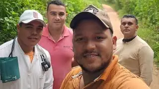 Compilados do coisado 