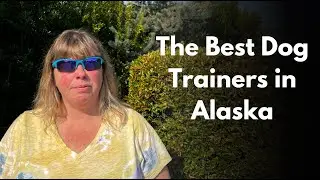 The Best Dog Trainers in Alaska | Alaska Dog Works