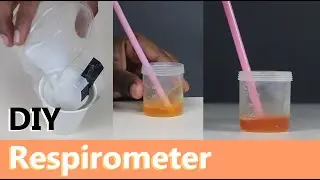 DIY Respirometer | ThinkTac