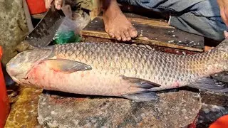 UNBELIEVABLE! 🔥 Fastest Fish Cutting Skills on Earth!#FastestFishCutting#AmazingCutKnif#ViralShorts