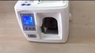 Smart currency banding machine also has binding rolls offered you