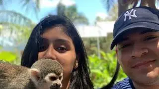 Puerto Plata 2020