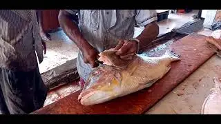 filleting spangled Emperor cutting skills Somalia