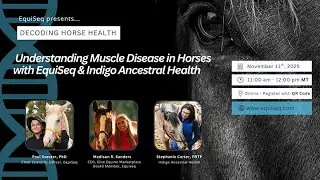 Decoding Horse Health November 11, 2025