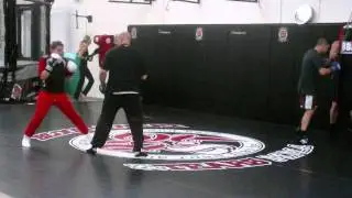 BST MMA Boxing