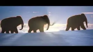 The Woolly Mammoth's