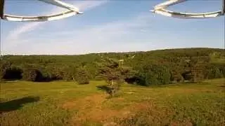 Ashdown Forest