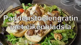 Pilzgratin mit Eichblattsalat Rezept