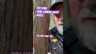 Trail camera tip#hunting#outdoors#autumn#fall