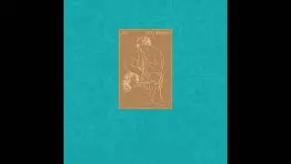 XTC - Ballet For A Rainy Day [5.1 Surround Sound]