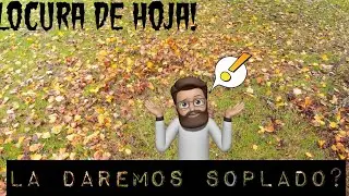Bienvenido OTO&Ntilde;O! Husqvarna 570BTS #gardener #topiary #soplador