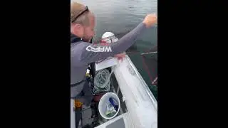 Dropping the prawn traps! #prawns #boatlife #explore #bc