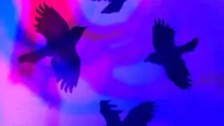 Star lit Shadows full song
