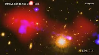 A Tour of a Positive Feedback Black Hole