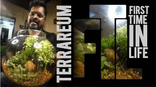 TERRARIUM MAKING | FIRST TIME IN LIFE | MALAYALAM | FTL #terrarium#terrariumsetup #terrariabeginner 
