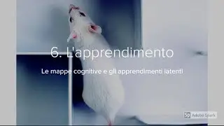 6. Le mappe cognitive e gli apprendimenti latenti
