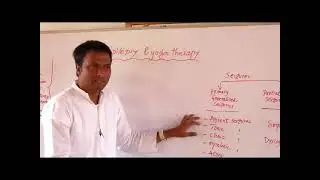 Epilepsy and Medical Yoga 