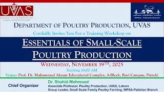 Training Workshop 