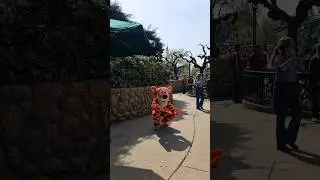MEETING TIGGER @ DISNEYLAND PARIS 🧡 #shorts #disney #disneylandparis
