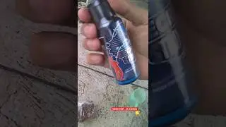 Essen paling ampuh untuk mancing ikan lele , patin , bawal dll