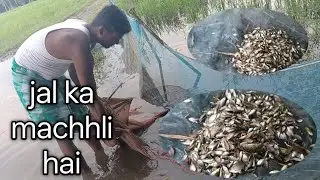 जाल में मछ्ली घुसा है बहुत छोटा छोटा मछली है ||desi machhli hai nadi ka hai || #blogs 